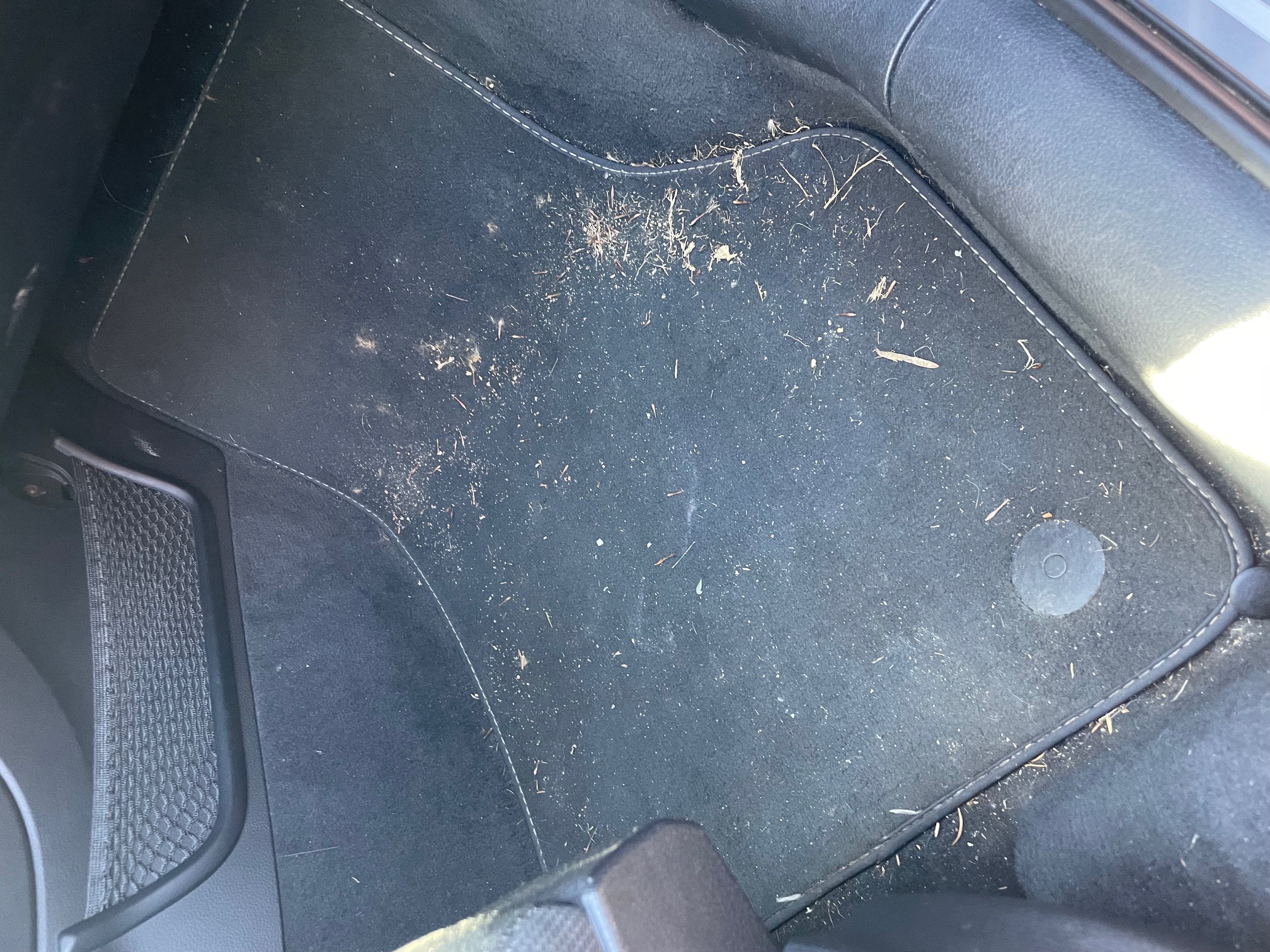 Tapis voiture avant lavage intérieur – aspiration et shampouinage